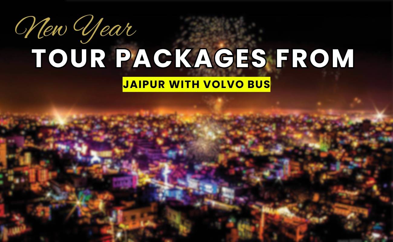 new year tour package